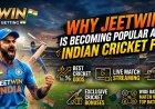 What makes Jeetwin popular among cricket fans in India