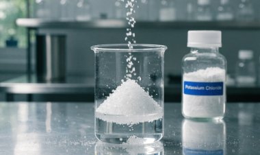 Potassium Chloride Price Chart 2026: Monthly Trends and Movement