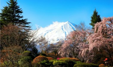 Hiking Trails in Japan for Nature Lovers