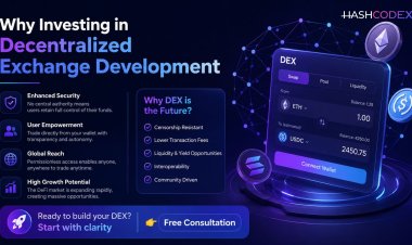 Why Decentralized Exchange Development Is a Smart Investment?