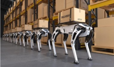 How Robotic Warehousing Is Transforming Modern Supply Chain Efficiency