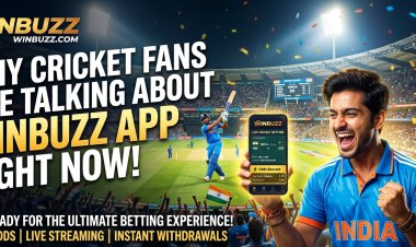 What’s driving cricket fans to talk about the Winbuzz app these days