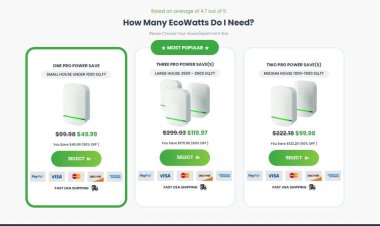 Ecowatt Power Saver Reviews [Consumer Reports] Is It Really Worth Your Money?
