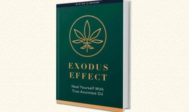 Exodus Effect Reviews – Everything You Should Know First