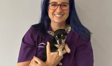 Can an Emergency Vet Provide Faster Care for Critical Pet Emergencies?