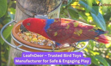 LeafnDeor – Trusted Bird Toys Manufacturer for Safe & Engaging Play