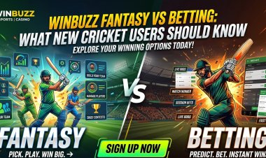 Winbuzz Fantasy and Betting Comparison: Important Things for New Users