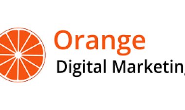 SEO Company in Chennai for Local Business Growth