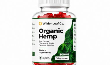 Wilder Leaf Organic Hemp Gummies Australia [Exclusive Report 2026] Is It Really Worth Your Money?