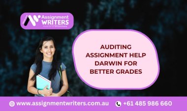 Auditing Assignment Help Darwin for Better Grades