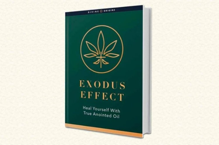 Exodus Effect Reviews – Everything You Should Know First