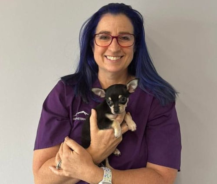 Can an Emergency Vet Provide Faster Care for Critical Pet Emergencies?