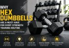Why Hex Dumbbells Are a Must-Have for Every Strength Training Routine