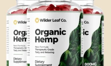 How do you use Wilder Leaf Organic Hemp?