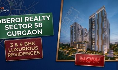 Oberoi Realty Sector 58 Gurgaon: Luxury Investment in 2026 Guide