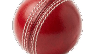 Online Gaming Betting Guide for Cricket and Sports Categories