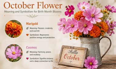 October Flower Meaning and Symbolism for Birth Month Blooms