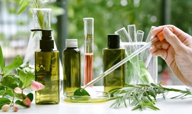 The Role of Traditional Ayurvedic Remedies in Supporting Active Lifestyles