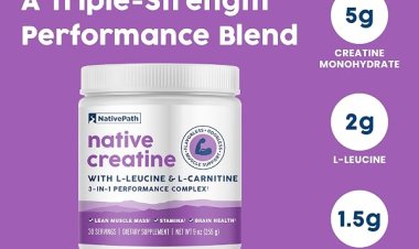 Native Path Creatine: Complete Guide to Benefits, Ingredients, and Why It's Gaining Popularity