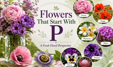 Flowers That Start With P: A Fresh Floral Perspective