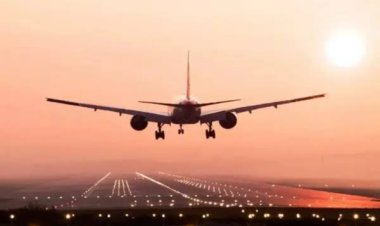 Travel with Confidence Using Reliable Information from the Lufthansa Airlines Sydney Office in Australia