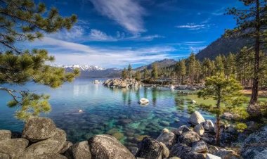 Florida Travel Guide for First-Time Visitors