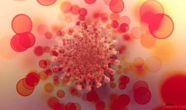 Stages of COVID: Understanding Symptoms and Recovery Step by Step