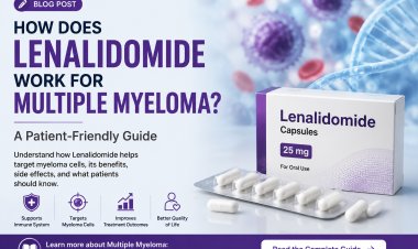 Understanding Lenalidomide Treatment for Multiple Myeloma