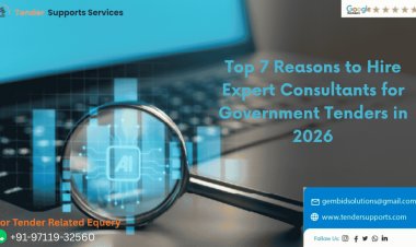 Top 7 Reasons to Hire Expert Consultants for Government Tenders in 2026