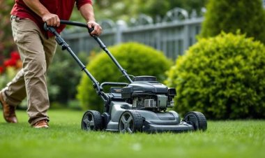 How Professional Mowing Helps Prevent Lawn Disease