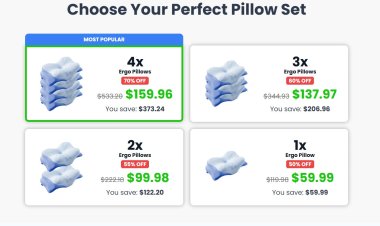 Ergo Pillow Reviews (Research Report) Verified Results & Buyer Result!