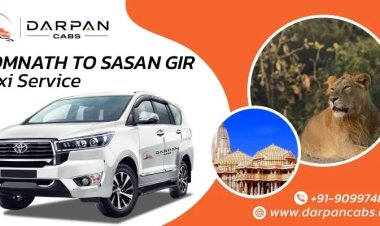 Somnath to Sasan Gir Taxi for Comfortable Wildlife Travel