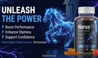 HorseFil Reviews (Customer Alert) – Is It Worth the Premium Price?