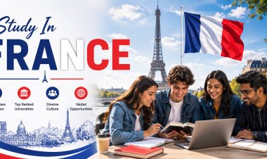 How to Choose the Best University to Study In France