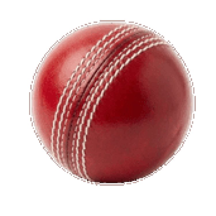 Online Gaming Betting Guide for Cricket and Sports Categories