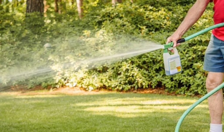 How Commercial Pest Control Protects Your Property Value