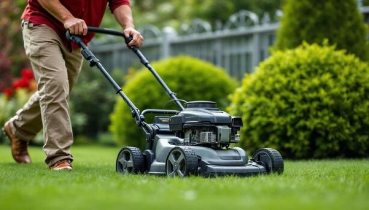 How Professional Mowing Helps Prevent Lawn Disease