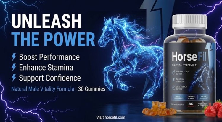 HorseFil Reviews (Customer Alert) – Is It Worth the Premium Price?