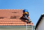 Best Roofing Company: A Homeowner’s Guide to Choosing the Right Roofer
