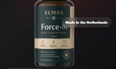 Can Elmax Force-M support male stamina?