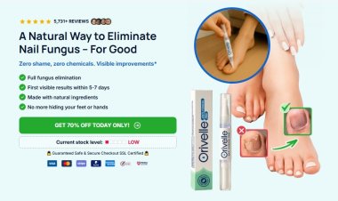 Orivelle Fungus Pen Canada – Is This the Best Nail Fungus Solution Available?