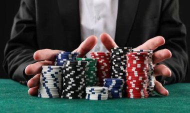 Sports Betting on Lotus365: Cricket, Football, Tennis, and Other Markets Explained
