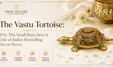 The Vastu Tortoise: Why This Small Brass Item Is One of India's Bestselling Decor Pieces