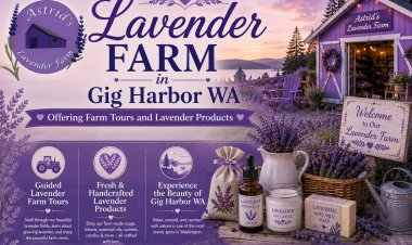 Lavender Farm in Gig Harbor WA Offering Farm Tours and Lavender Products