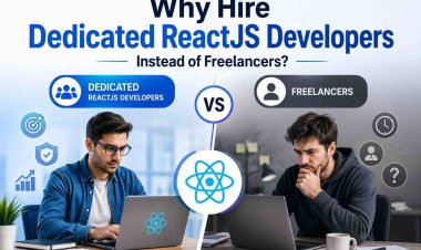 Why Hire Dedicated ReactJS Developers Instead of Freelancers?