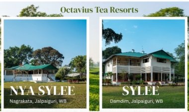 Tea Garden Resort: Best Way to Enjoy a West Bengal Tourism