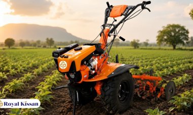 Power Weeder in India: A Complete Guide for Modern Farmers | Royal Kissan