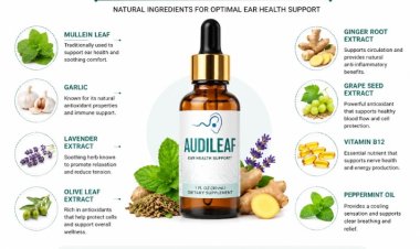 AudiLeaf Reviews (Consumer Reality) – Ear Health & Hearing Support Drops?