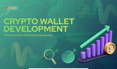 Why Multi-Chain Crypto Wallet Development Is Essential for Modern Web3 Businesses