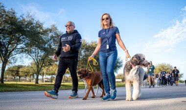 Finding the Right Dog Training Near Me in Princeton & Mercer County NJ